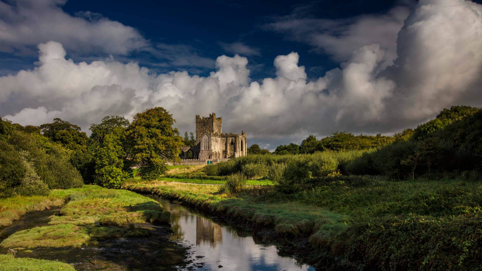 Tintern Abbey | Things to Do Near Wexford Town | Crown Quarter